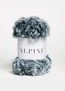 alpine.jpg (37