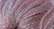 Rosa 7003