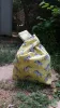 IMG 20190601 WA0004.jpg (202